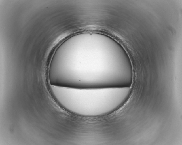 X0000111591410200907161144