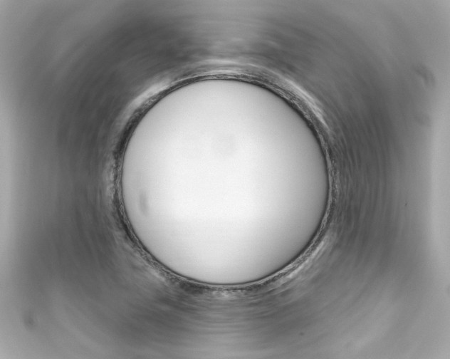 X0000111591411200907161144