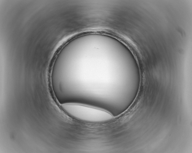 X0000111591412200907161144