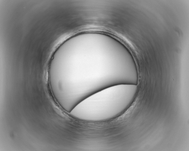 X0000111591413200907161144