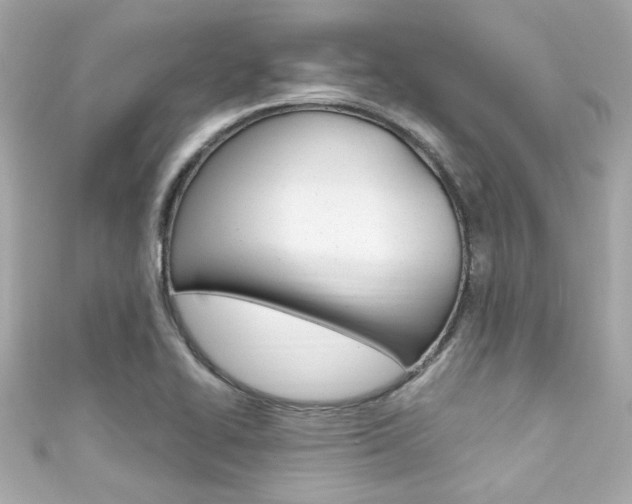 X0000111591414200907161144
