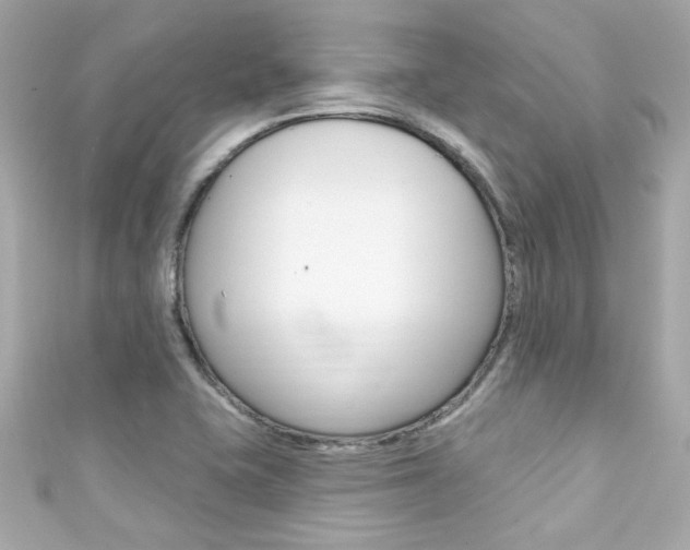X0000111591415200907161144