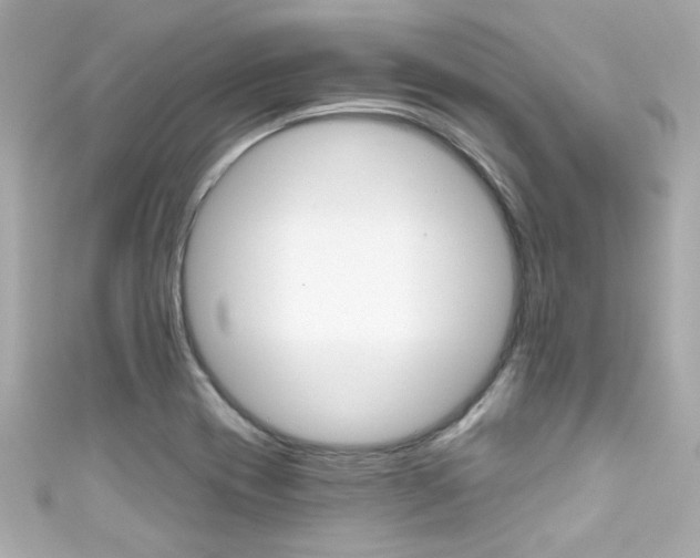 X0000111591417200907161144