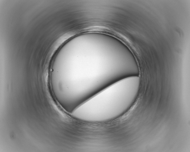 X0000111591418200907161144