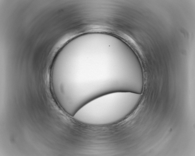 X0000111591419200907161144