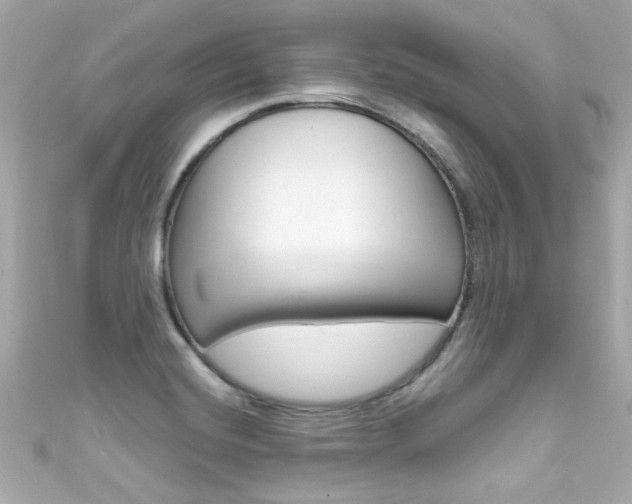 X0000111591420200907161144