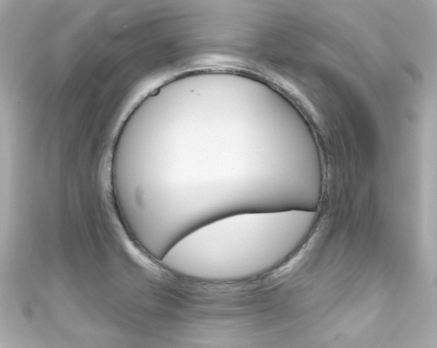 X0000111591421200907161144