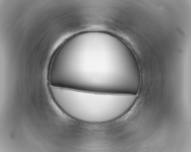 X0000111591422200907161144