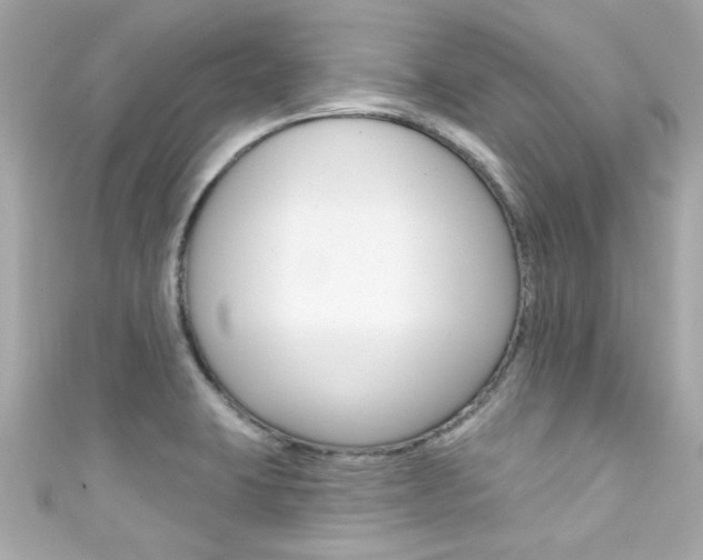 X0000111591423200907161144