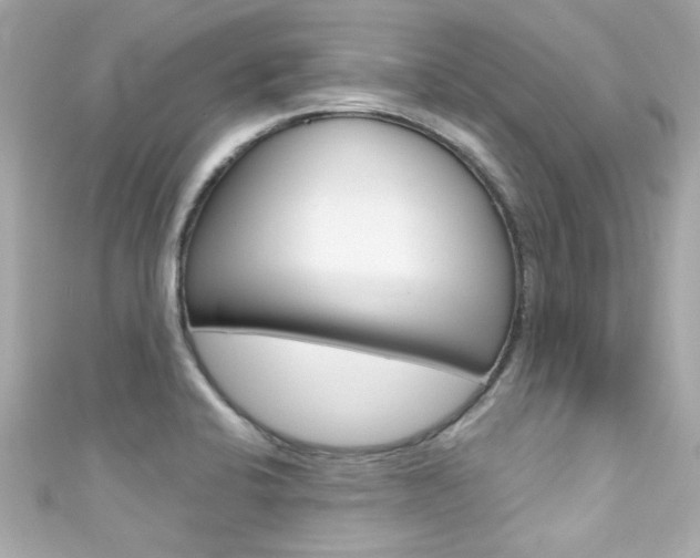 X0000111591424200907161144