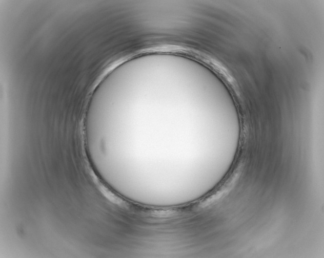 X0000111591425200907161144