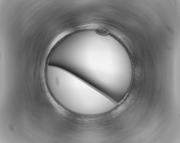 X0000111591426200907161144