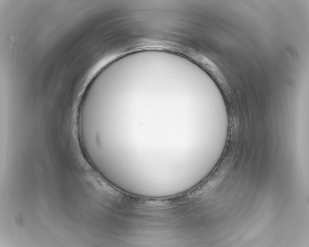 X0000111591427200907161144