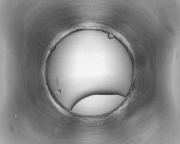 X0000111591429200907161144