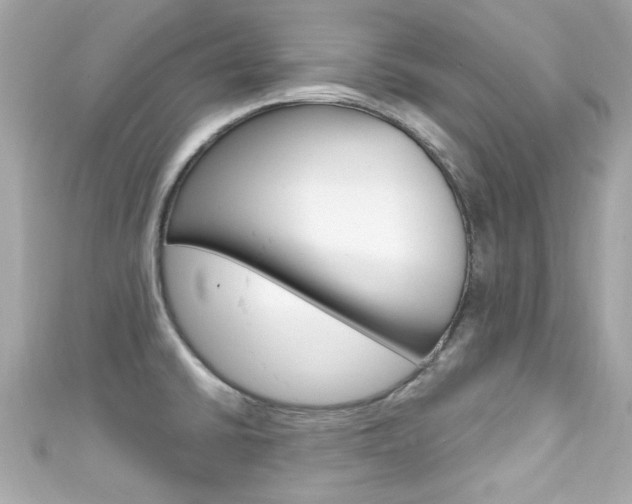X0000111591430200907161144