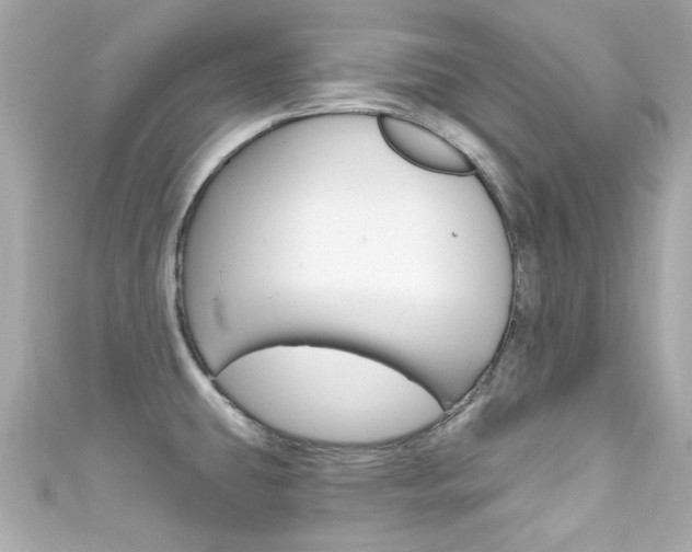 X0000111591431200907161144