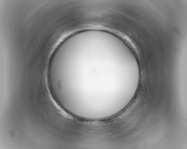 X0000111591432200907161144