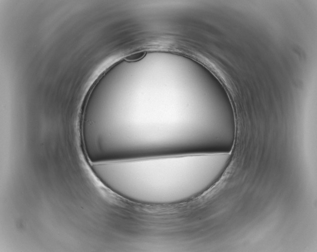 X0000111591434200907161144
