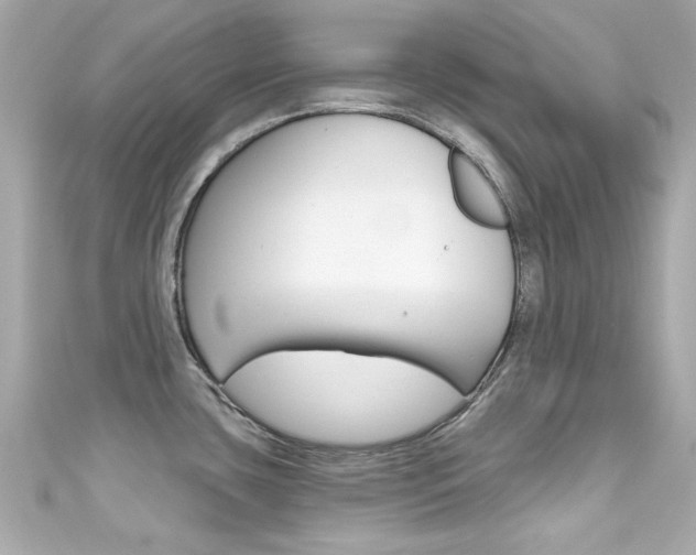 X0000111591435200907161144