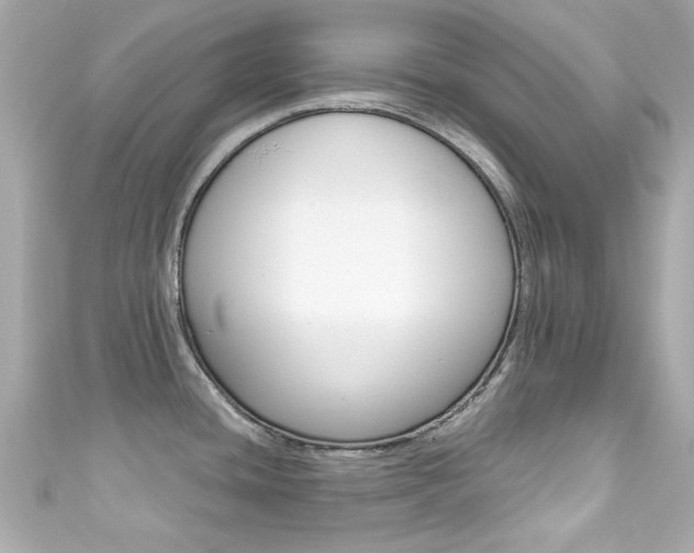 X0000111591436200907161144