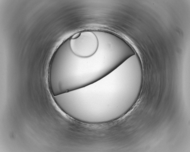 X0000111591437200907161144