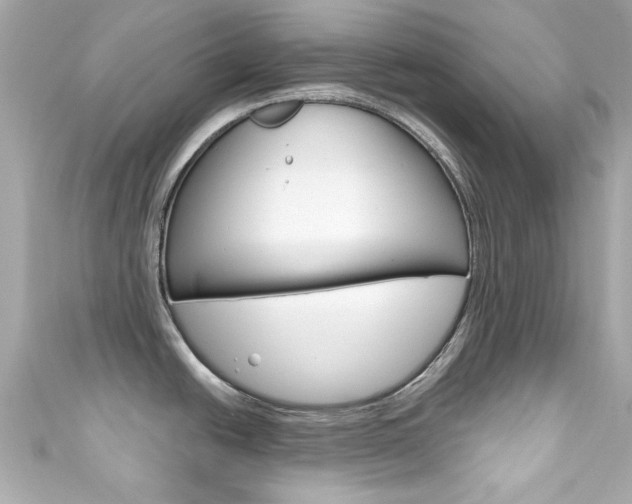 X0000111591438200907161144