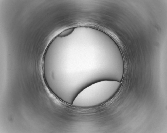 X0000111591439200907161144