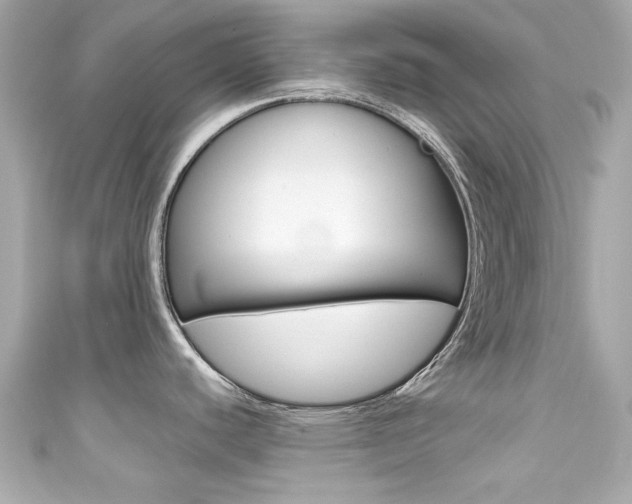 X0000111591440200907161144