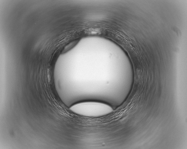 X0000111591442200907161143