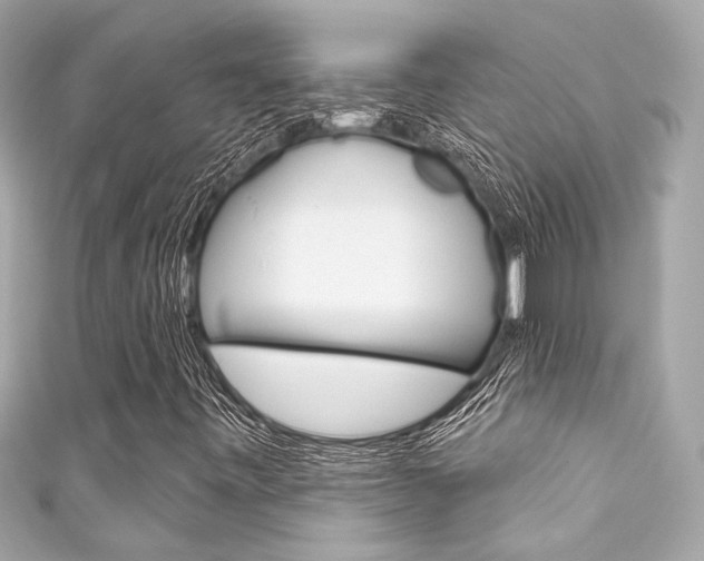 X0000111591443200907161143