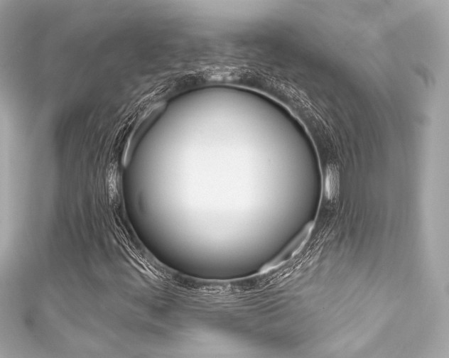 X0000111591444200907161143