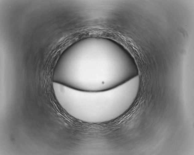 X0000111591445200907161143