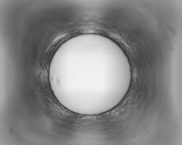 X0000111591446200907161143