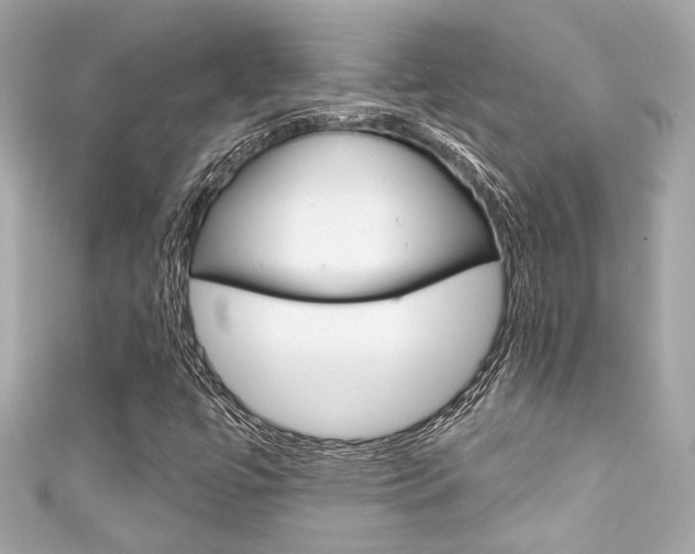 X0000111591447200907161143