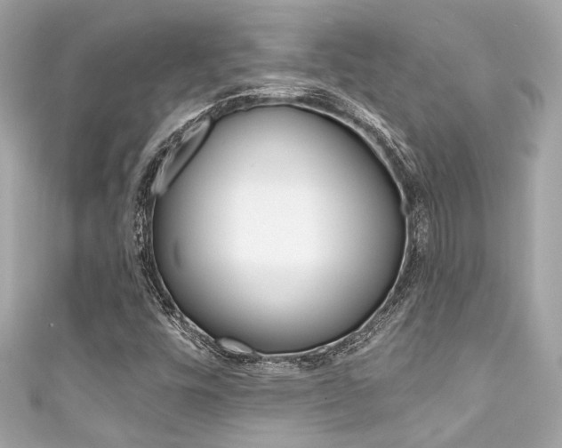 X0000111591448200907161143