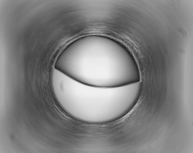 X0000111591449200907161143