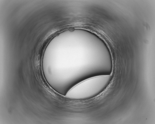 X0000111591450200907161143