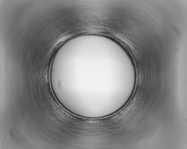 X0000111591451200907161143