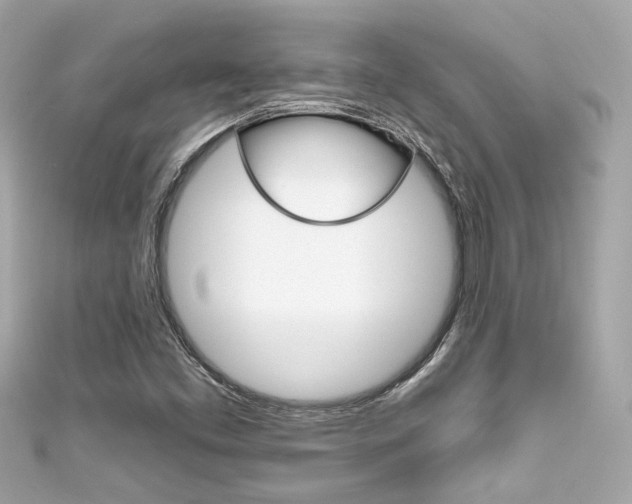 X0000111591453200907161143