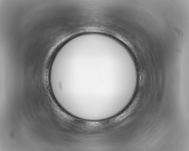 X0000111591454200907161143