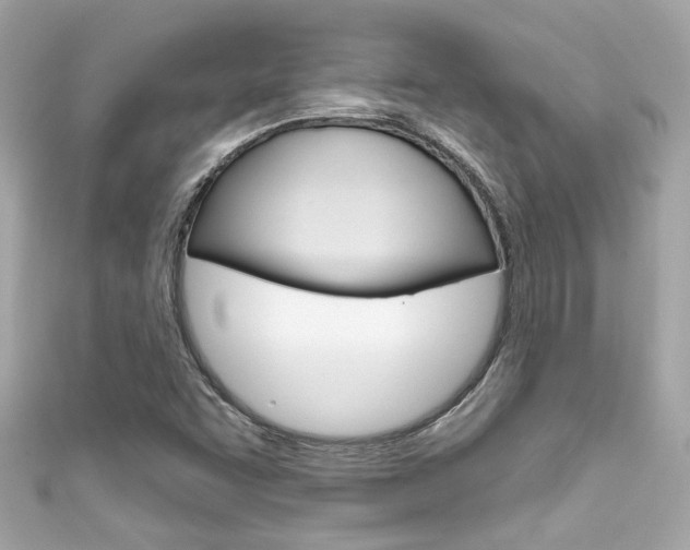 X0000111591455200907161143