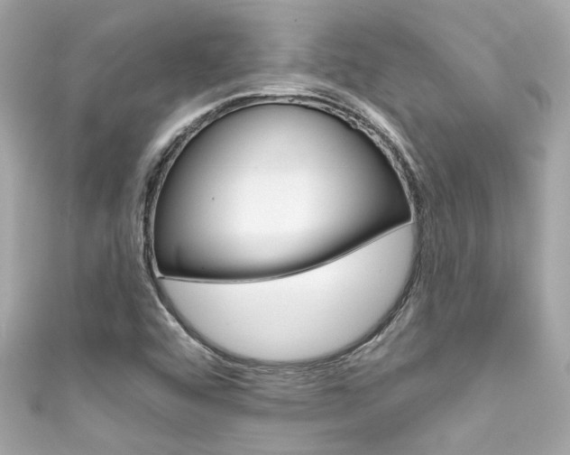 X0000111591456200907161143