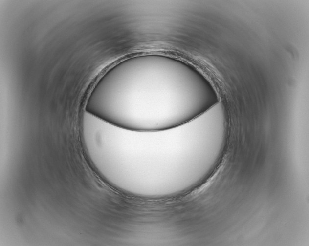 X0000111591457200907161143