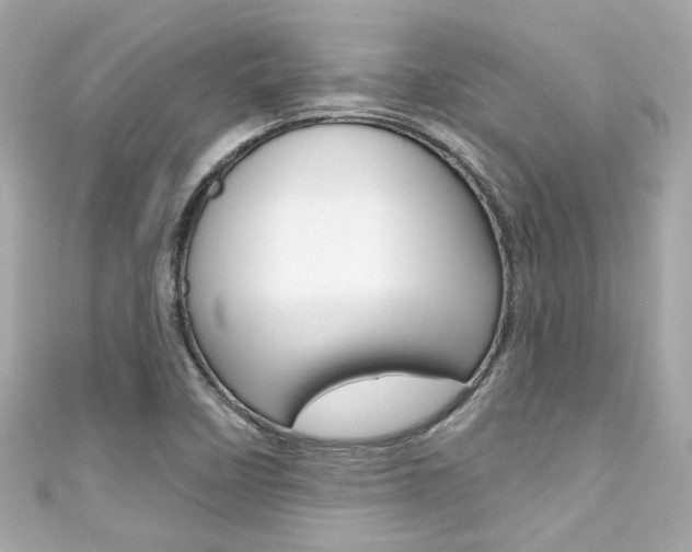 X0000111591458200907161143