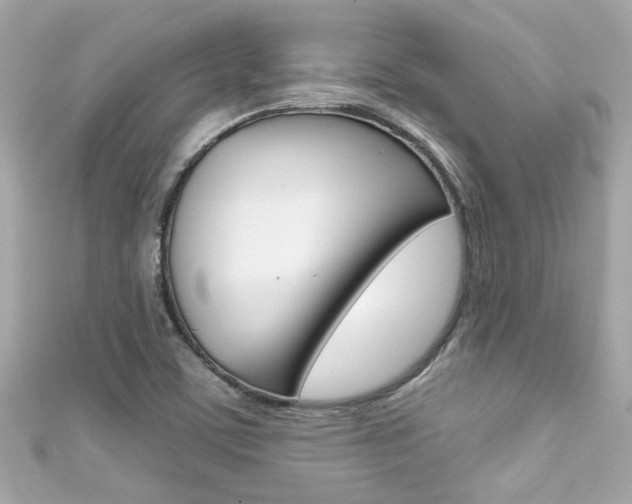 X0000111591459200907161143