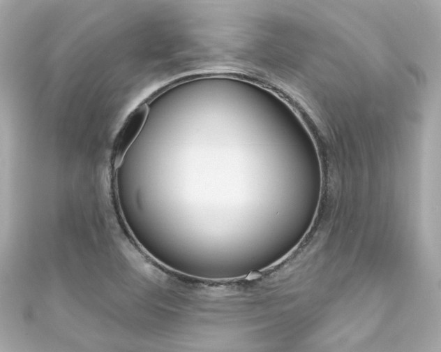 X0000111591460200907161143