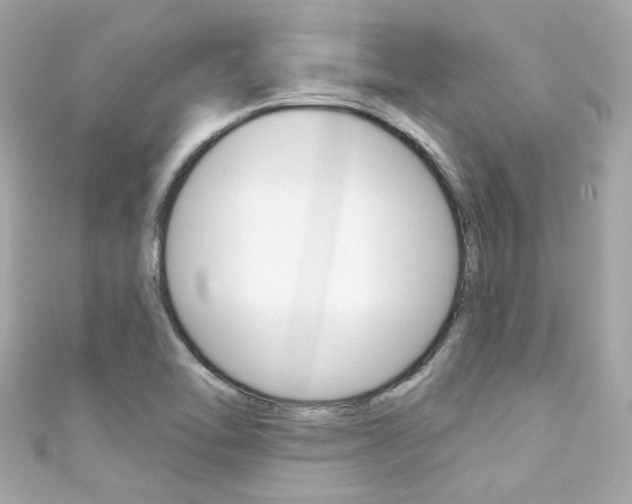 X0000111591462200907161143