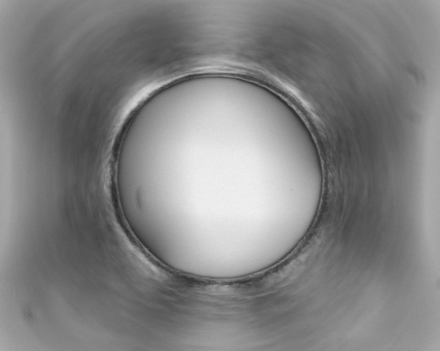 X0000111591463200907161143