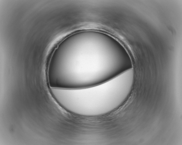 X0000111591464200907161143
