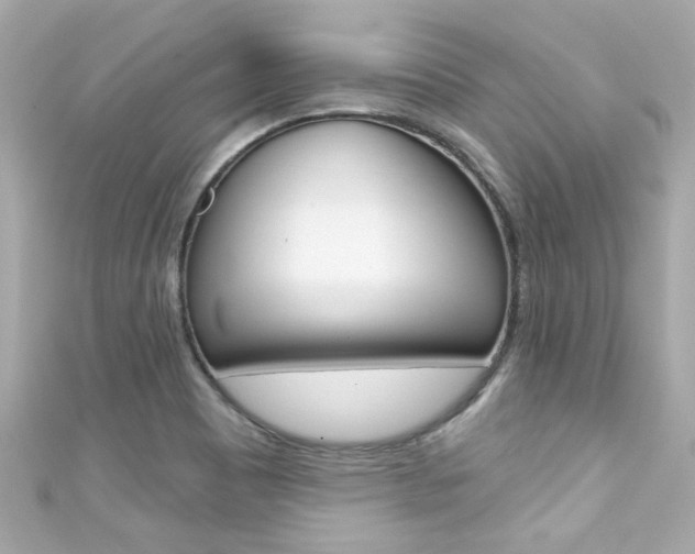 X0000111591465200907161143